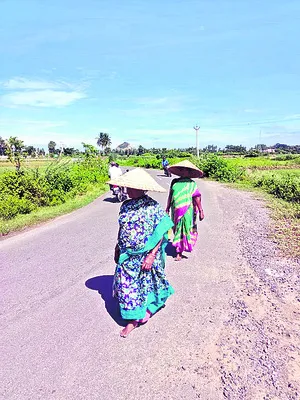 ● శిర