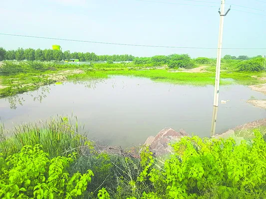రియల్