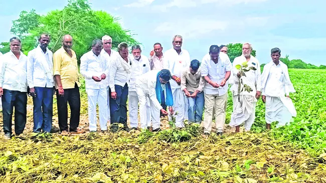 రైతులకు వెంటనే నష్టపరిహారం చెల్లించాలి