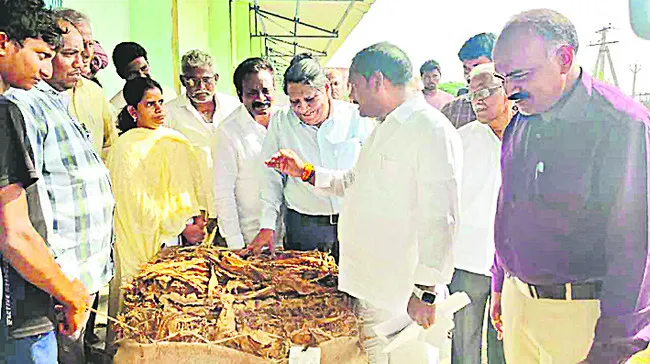 పొగాకు రైతులను ప్రభుత్వం ఆదుకుంటుంది 
