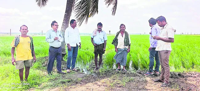 వర్షాలకు ఆందోళన వద్దు
