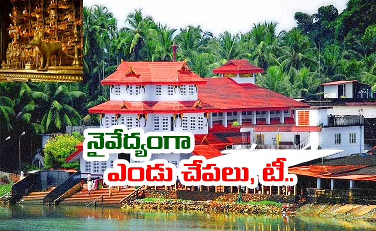 Keralas Parassini Madappura Temple: Where Dogs Are Worshipped