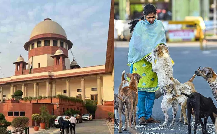 SC Big Verdict on Capture and relocation of stray dogs in Delhi NCR Updates