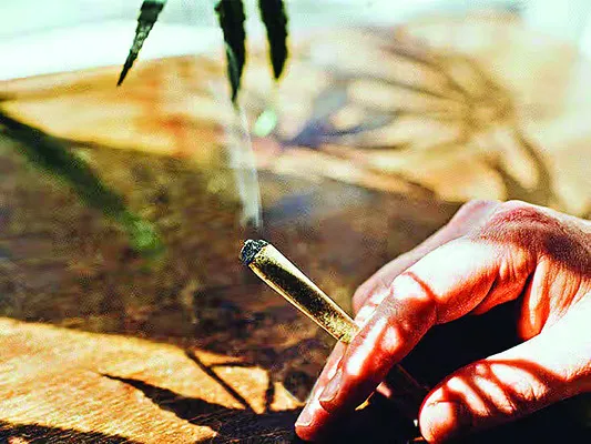 గంజాయి మత్తు .. బతుకు చిత్తు!
