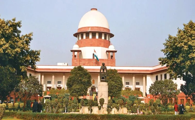 If constitutional institutions fail, the courts will do the work says SCI