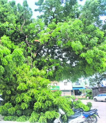 శాంతి
