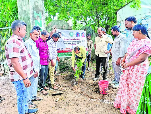 కంకవనాల నర్సరీకి సన్నాహాలు