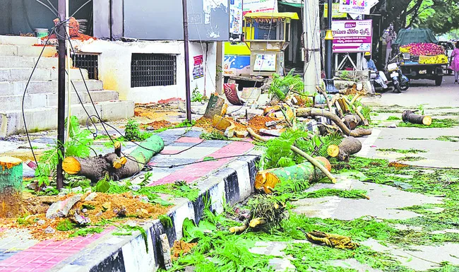ఇక అటవీ శాఖ ముద్ర