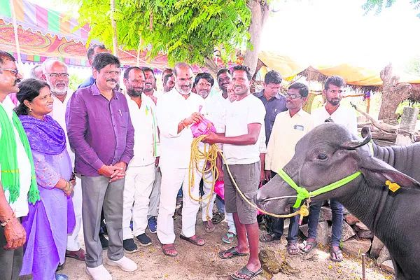 పాడిపరిశ్రమతో అదనపు ఆదాయం