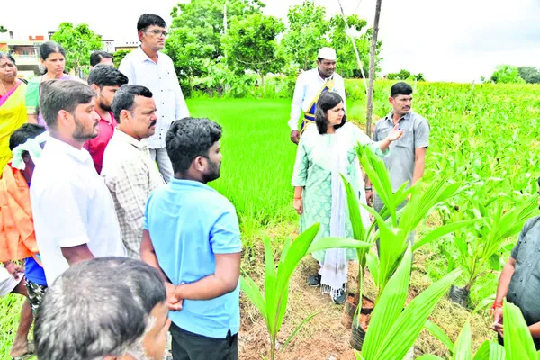 ‘పనుల జాతర’ ముమ్మరం చేయండి 