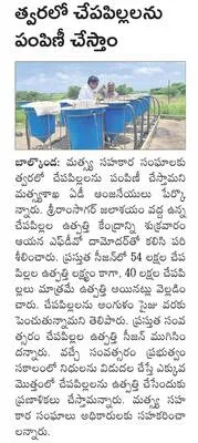 జిల్లాలో యూరియా కొరత లేదు