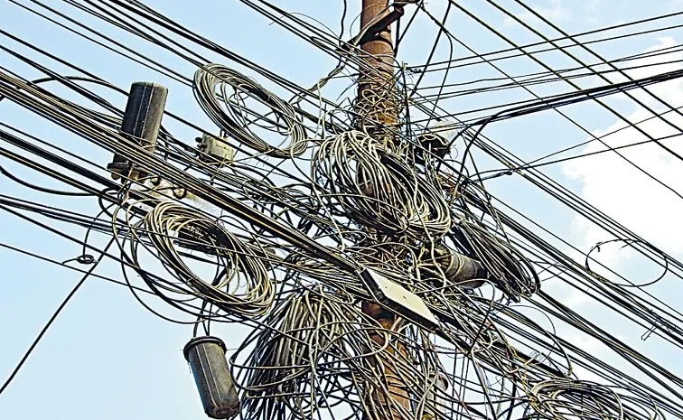 Telangana High Court expressed strong displeasure over electrocution deaths