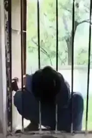 8 Year Old Spends Night In School With Head Stuck In Window Grill After Staff Locks Her Inside4