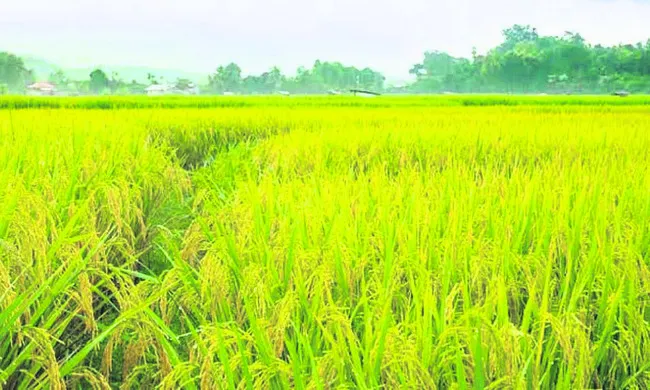 ఎరువు