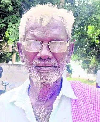 సాగుల