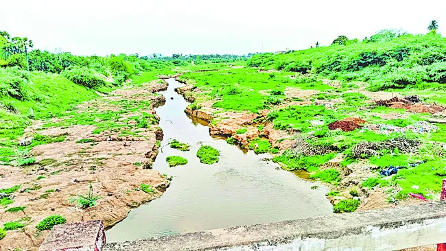 సుజలా
