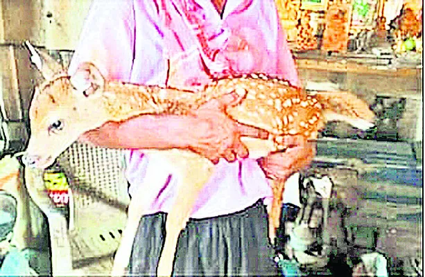క్లుప్తంగా