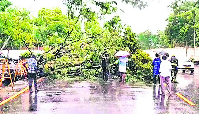 8 జిల
