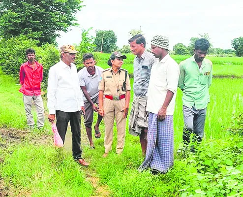 దొమ్మ