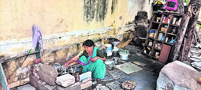 చెట్టు కింద జీవన వెలుగు