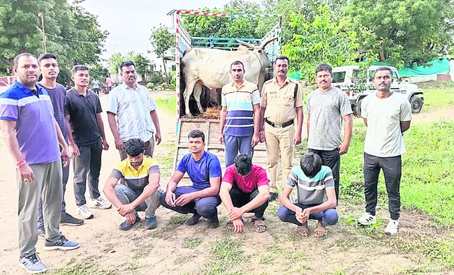అక్రమంగా తరలిస్తున్న పశువుల పట్టివేత