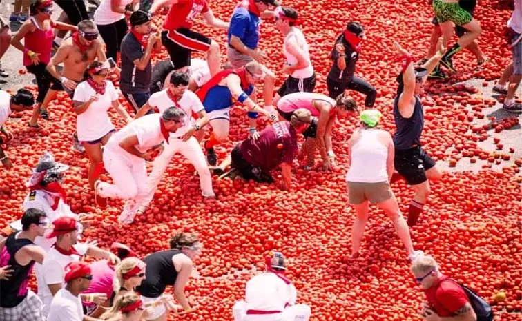 Tomato throwing festival in Spain last Wednesday of August