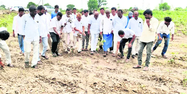 బాధిత రైతులను ఆదుకోవాలి