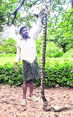 పెన్షన్ల పునరుద్ధరణ కోసం..
