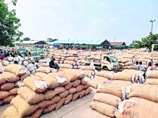 పన్నుల ఎగవేతకు అడ్డదారులు