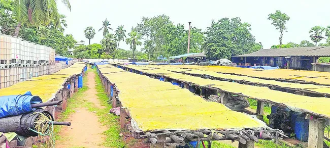ఆనంద