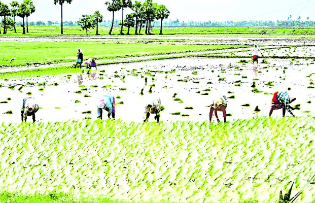సాగు పనుల్లో అన్నదాతలు