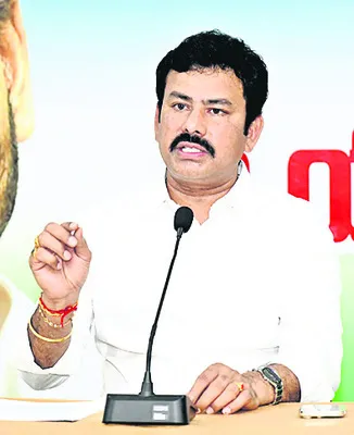 మెగా పేరిట దగా..
