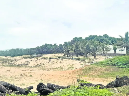 సముద్రపు ఇసుక తరలింపునకు వేలంపాట?