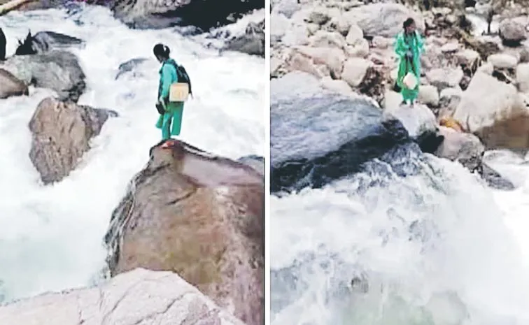 Himachal Mandi nurse braves raging stream to reach duty viral video
