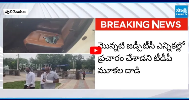 పులివెందులలో YSRCPకి ప్రచారం చేశాడని యూ ట్యూబర్ ఆది శేషుపై దాడి
