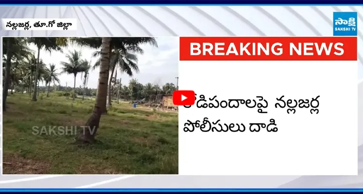 కొబ్బరి తోటలో కోడిపందాలు నిర్వహిస్తున్న TDP నేత మండా సురేష్