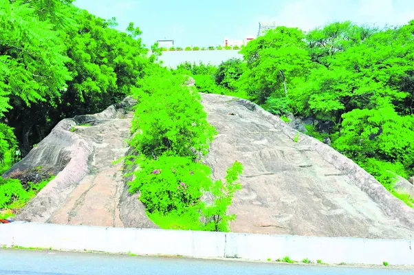 నారసి
