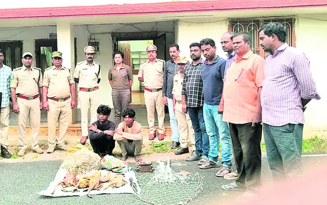 రైలు