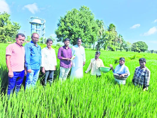 డీజే