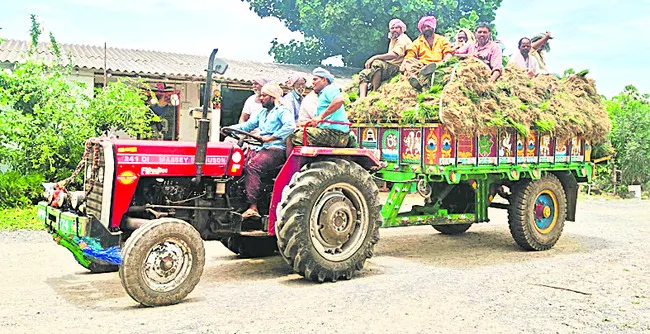 ‘వర్రీ’ నారు!