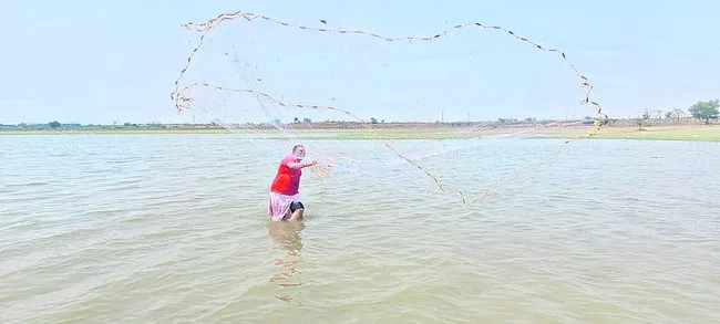 నిరీక
