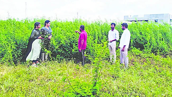 ఆదర్శ రైతుకు అభినందన