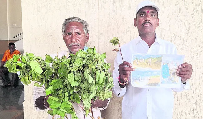 మూడేళ్లుగా ఇబ్బంది పెడుతున్నారు..