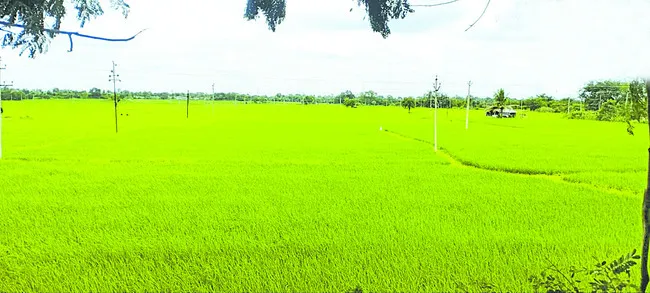 జలసిరి.. సాగుకు ఊపిరి