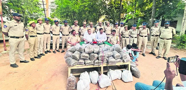 63 లక్షల గంజాయి పట్టివేత