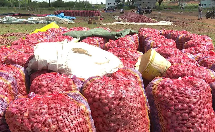 Onion Farmers Protest Against Supporting Price Kurnool