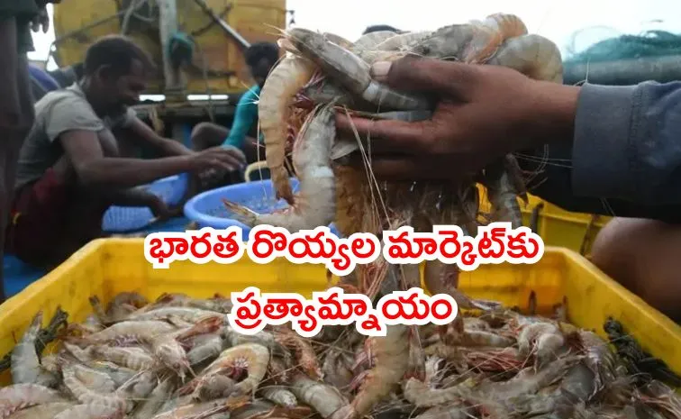 మార్కెట్‌ విస్తరణకు ఈక్వెడార్‌తో దోస్తి?
