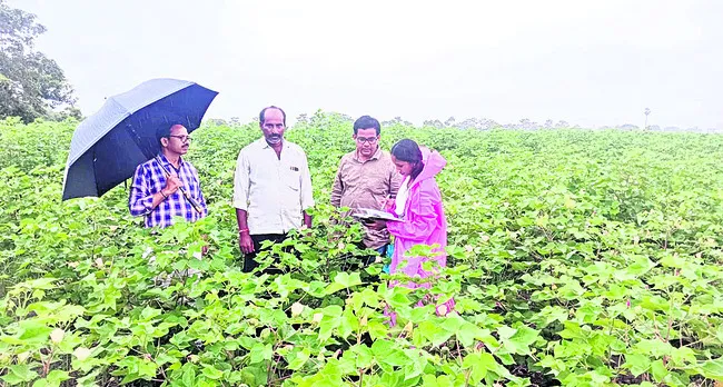 పంటల నమోదుకు సిద్ధం