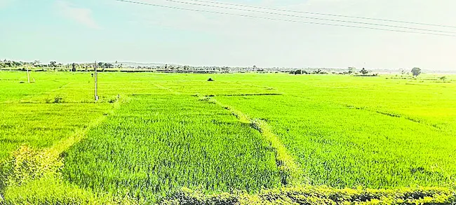 కళకళ