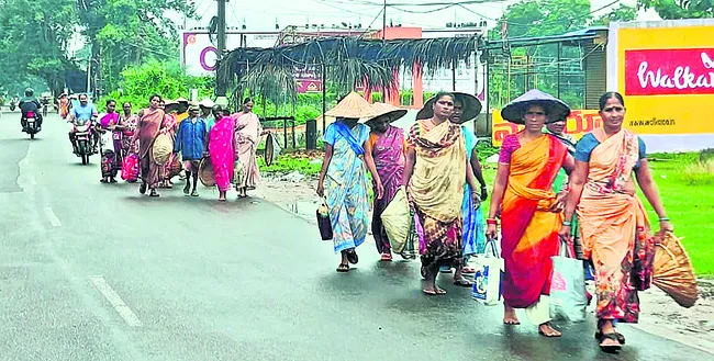 ● పొలం బాట... 